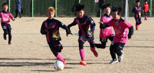 경주, 스포츠 동계훈련에 `딱`
