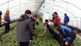 `행복농업 이동상담 장터` 운영