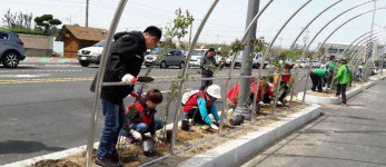포항 동해면사무소 연오랑세오녀 장미길 조성 구슬땀