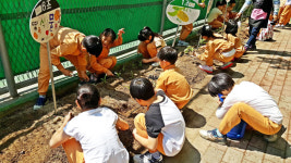 초등학교 학습능력 향상 텃밭 가꾸기