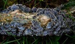 어머니 품처럼 넉넉하게 천혜의 자연을 품었어라