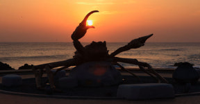 원시비경 울진금강송·주홍빛 대게 동해바다 품은 명품 관광도시 울진