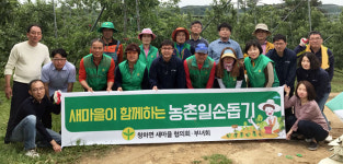 포항 청하면사무소, 새마을회와 농촌일손돕기 봉사