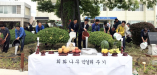 포항 청하면사무소 풍년기원 노거수 막걸리주기 행사