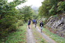 솔향기 솔솔~ `춘양목솔향기길` 거닐어요