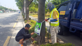 고사위기 가로수에 물 공급