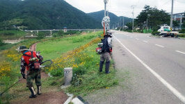 영덕군, 도로변 등 환경정비 활동