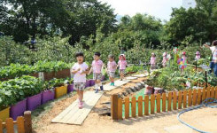 달구벌 도심 속 녹색향연 펼쳐져