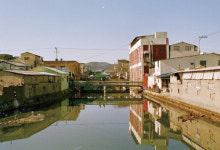 초록빛 맑은 물길따라 걷는 그날이 온다