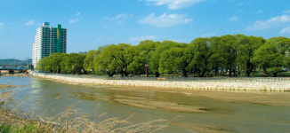 성주 성밖숲 `올 가장 아름다운 숲` 선정