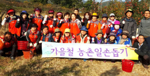 포항 우창동행정복지센터·통장協 등, 농촌일손 도와