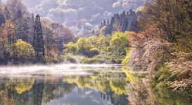 벚꽃 명소 화순 세량제