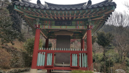 칠곡 북삼읍 `뿌리찾기` 사업 실시