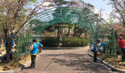 포항 상대동사무소 대도4어린이공원에 장미심기 행사