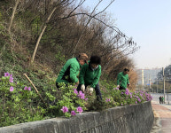 영주 상망동행정복지센터 등 이산건널목 일대 환경정비