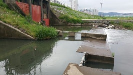 비만 오면 오수 역류, 언제까지…