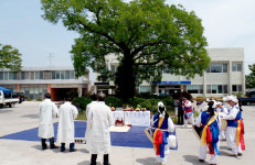 포항 청하면사무소·이장협의회 등 노거수 막걸리 주기 행사