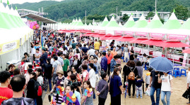100세 청춘 문경 오미자 판매 수익 4억9천만원