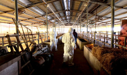 市, 클린 축산농장 조성 지역농가 환경점검