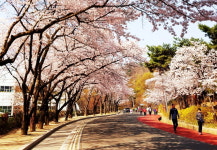 대구 두류공원 3색(色) 힐링산책로 각광