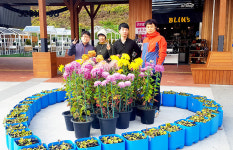 성주(창원)휴게소자동판매기 | 중부고속도로 성주휴게소 '국화꽃 화분' 조성