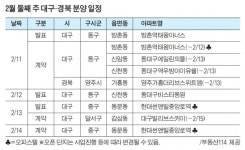 설 연휴 끝, 대구·경북지역 분양시장 재개