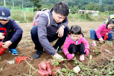 대구농협 주말농장 신청하세요