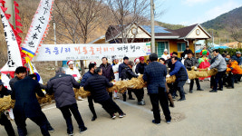 영덕 달산면 건강·풍년 기원 줄다리기 성황