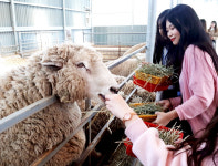 대구대, 농업계 교육훈련지원사업 선정