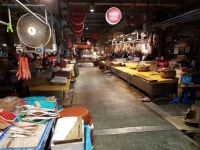 없는 게 없는 포항 죽도시장으로 오이소~