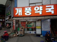 없는 게 없는 포항 죽도시장으로 오이소~