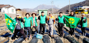 마성면 새마을지도자협·부녀회, 감자·옥수수 심기