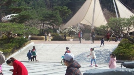 포항환호공원에 오니 와이리 좋노~
