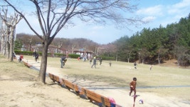 포항환호공원에 오니 와이리 좋노~