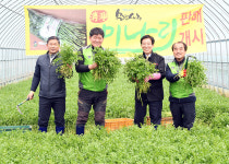 인생 2막 귀농귀촌 꿈 이뤄지는 문경 핫 플레이스로 뜬다