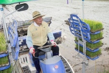 구미시, 첫 모내기 실시