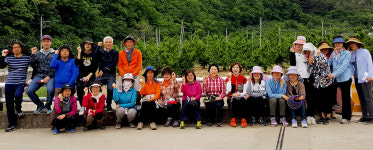 영덕군보건소 직원들지품면서 농촌일손돕기 활동