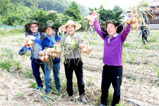 달성군, 영농철 맞아 농촌일손돕기 구슬땀
