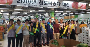 청도농협, 양산 농수산물종합유통센터서 복숭아 특판 행사