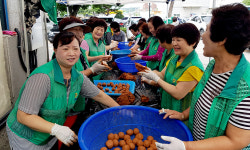 달성군 옥포읍 새마을협의회·부녀회 EM흙공 제작