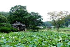하늘과 땅 사이 떠도는 바람에서 달콤한 향기가…