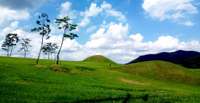 셀 수 없이 오래된 시간의 흔적과 만나다