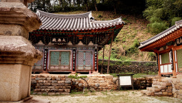 젖은 눈빛이 전하는 말… 영천 영지사(靈芝寺)