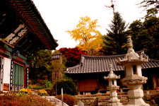 애틋한 만남, 아름다운 별리… 상주 남장사(南長寺)