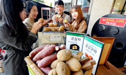 건강한 겨울 간식 삼총사대백프라자 인기리에 판매