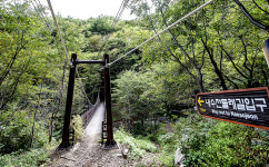 문화관광 예산 전년대비 38% 대폭 증가… 생태관광 섬 추진 날개
