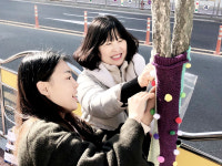 우리가 따뜻하게 해 줄게 털옷 입은 가로수들