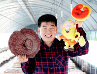인생길 내리막 고비서  영지버섯이 날 살렸죠