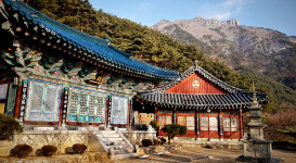 Ảnh kết quả tìm kiếm Naver 5