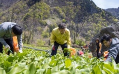 울릉군, 3일부터 농촌인력지원센터 운영